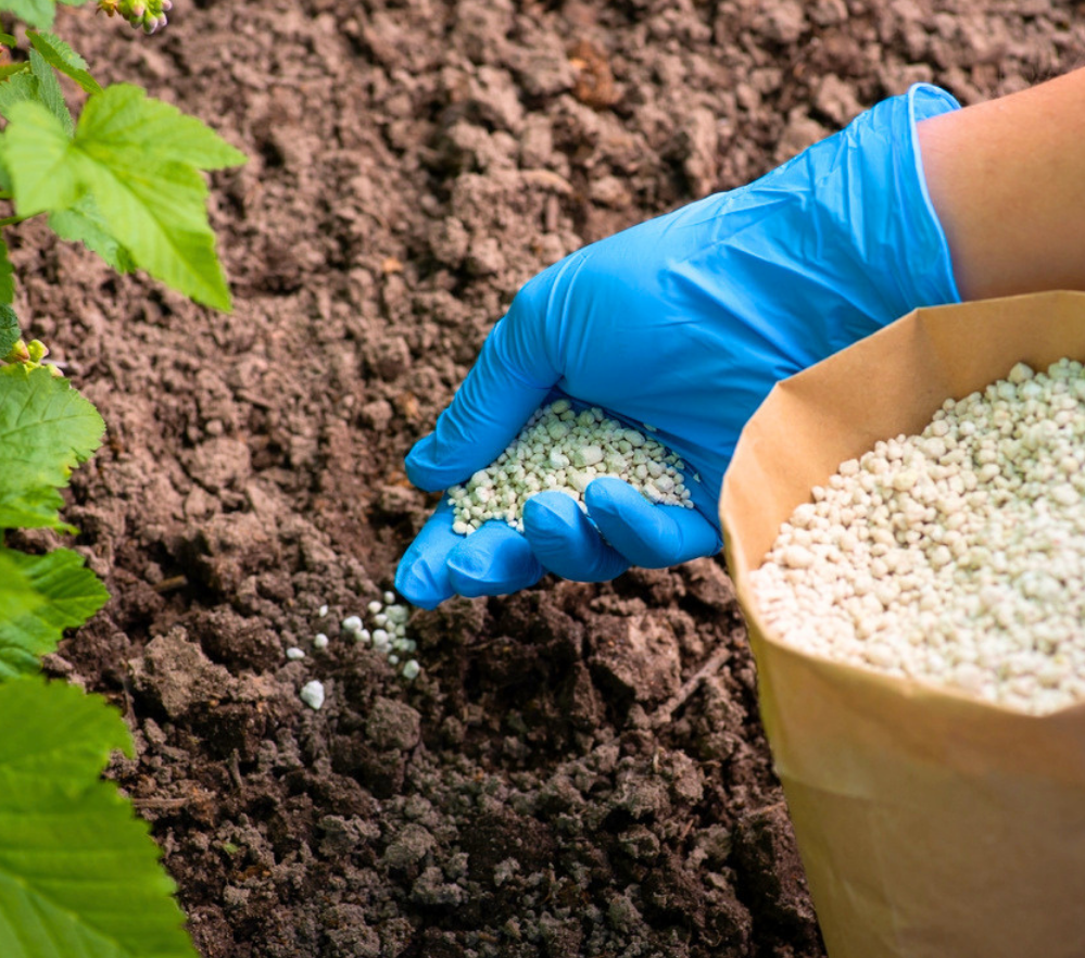 Industrial biotechnology and enzymatic solutions