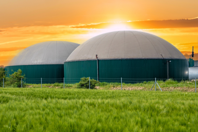 Biogas & Anaerobic Digestion